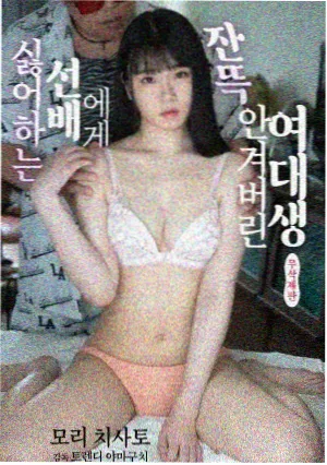 深夜编辑部 职场剧在线观看